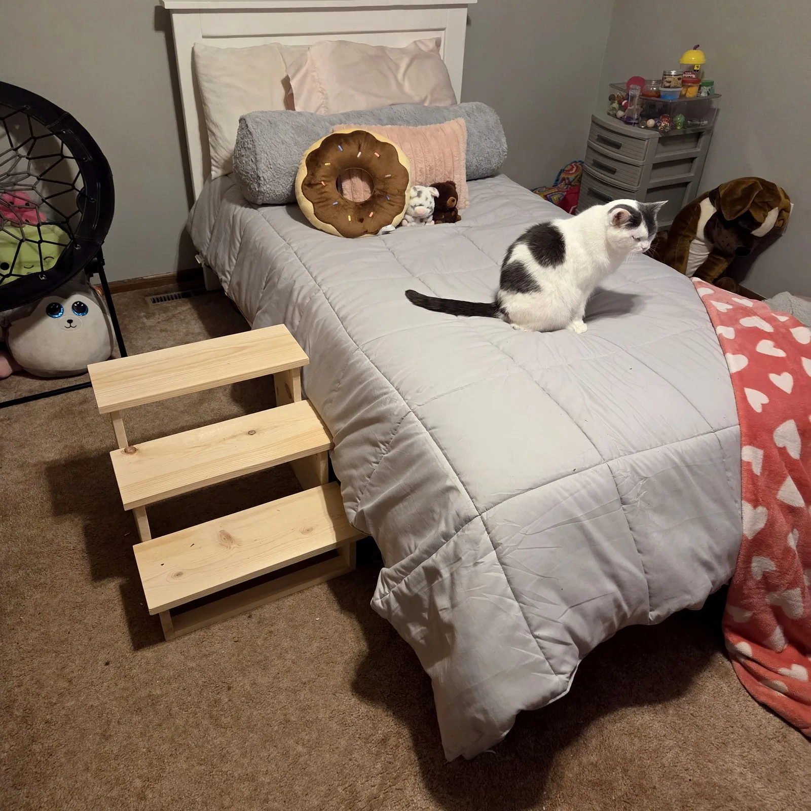 Pet Steps example