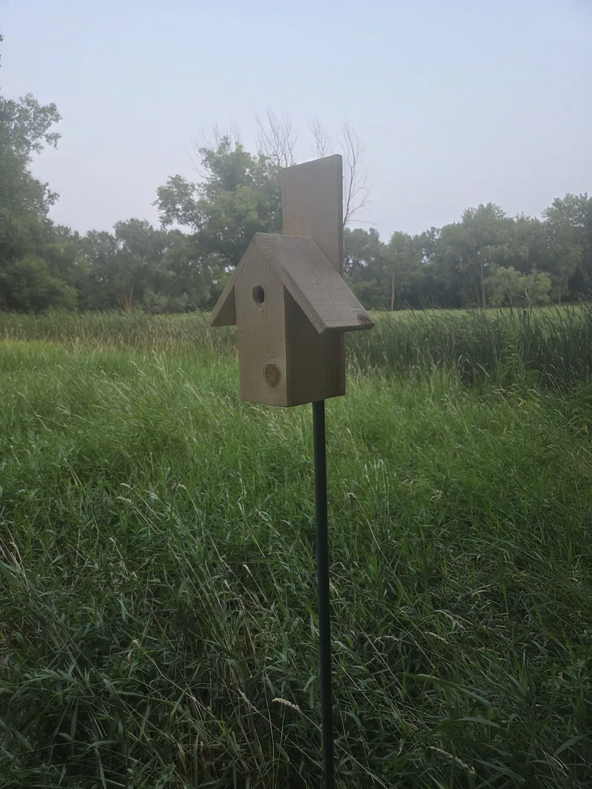 Bird Houses project collection