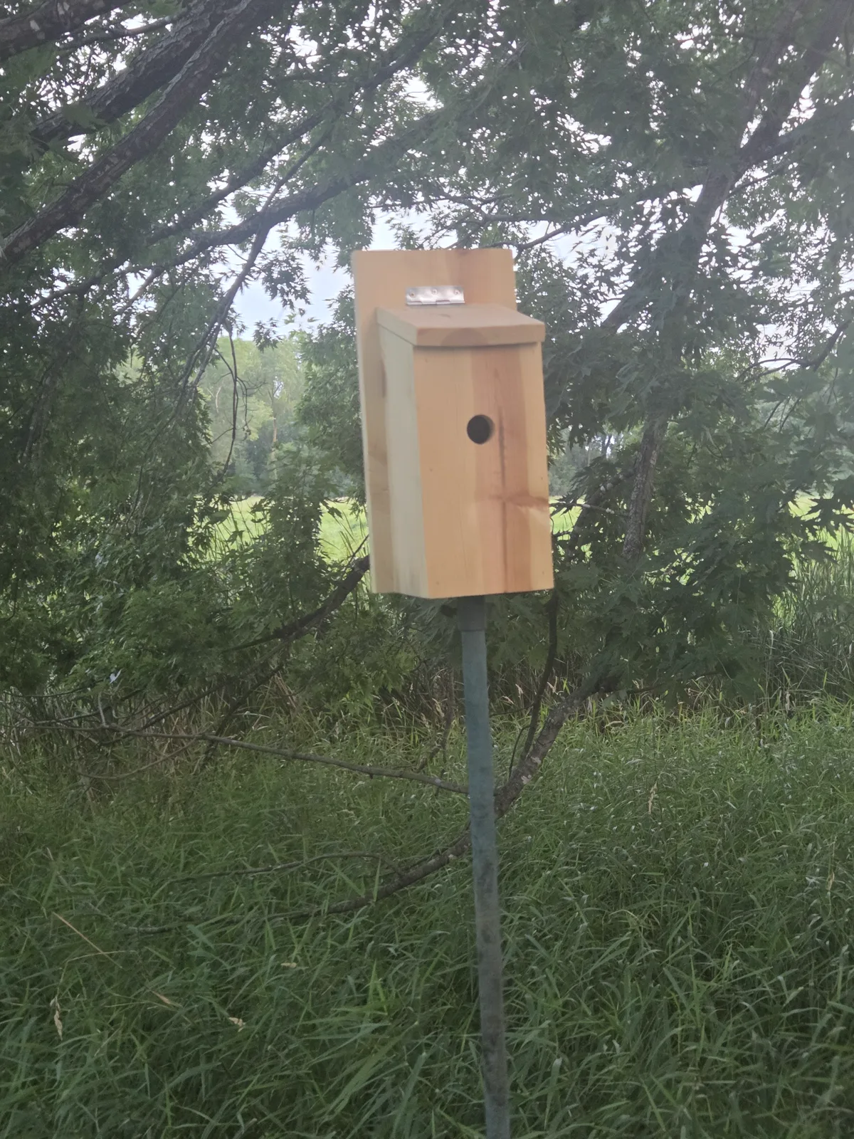 Bird Houses example 3