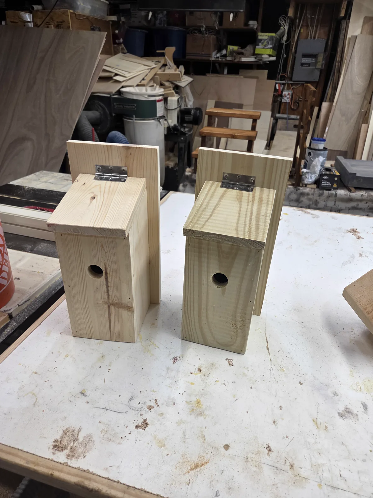 Bird Houses example 2